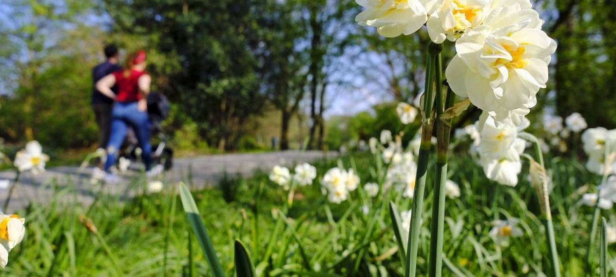 Finanzspritze für Marler Volkspark