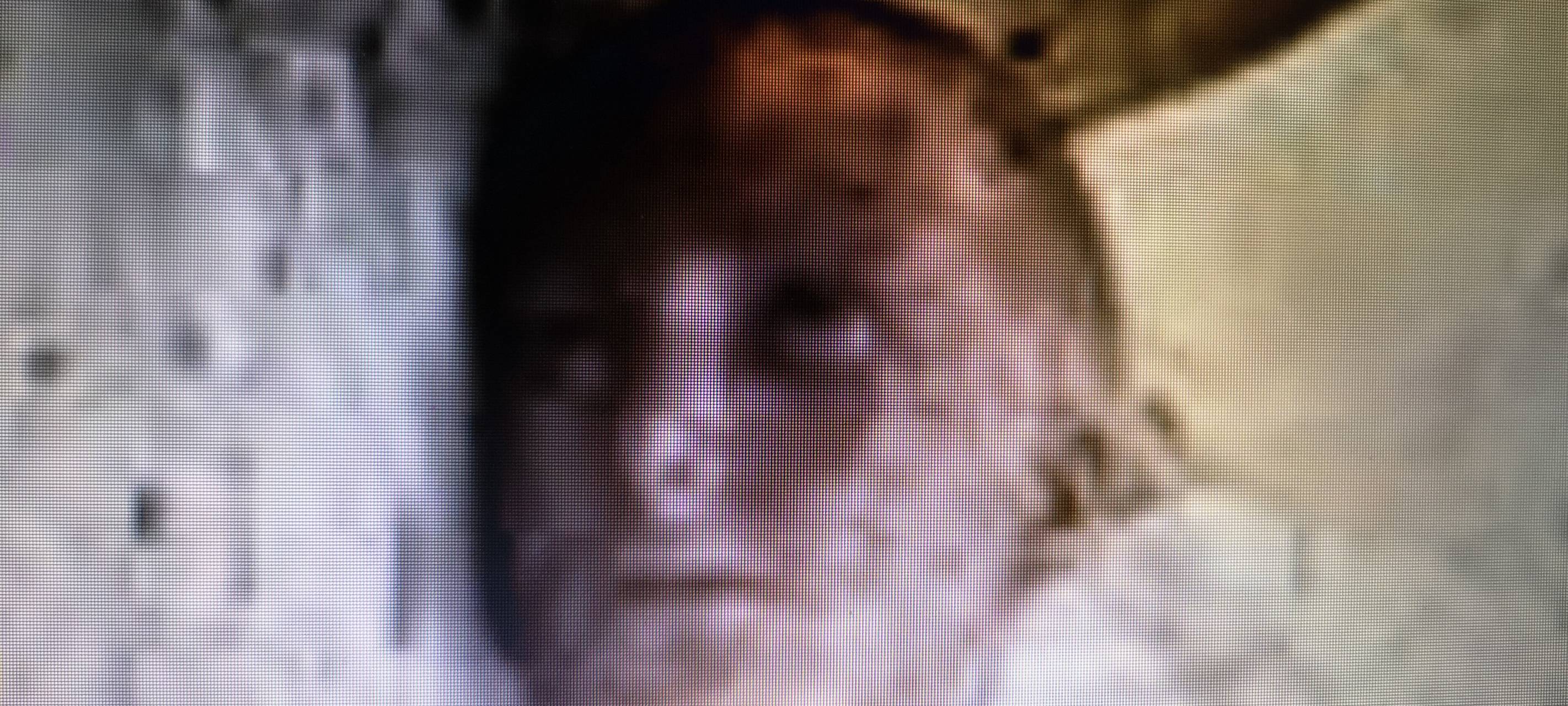 Silikonkopf im Hausmüll gefunden