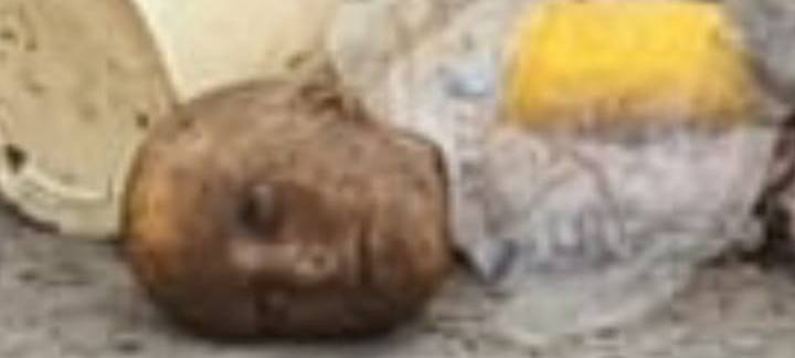 Silikonkopf im Hausmüll gefunden