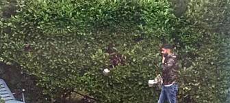 Fahndung nach Trickbetrug an Seniorin