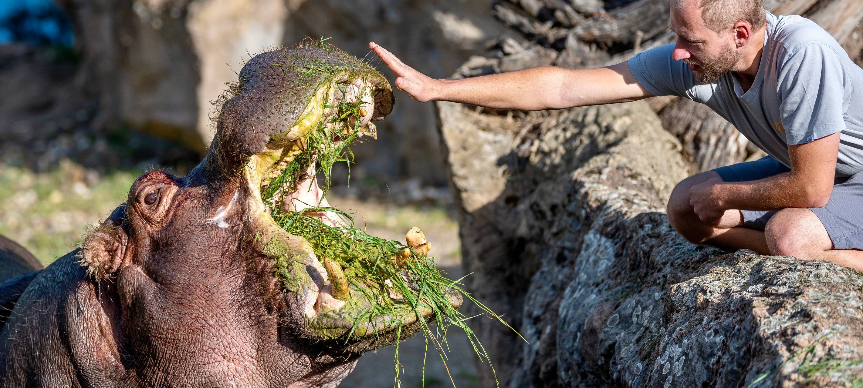 Dicke Spende für Gelsenkirchener Zoo