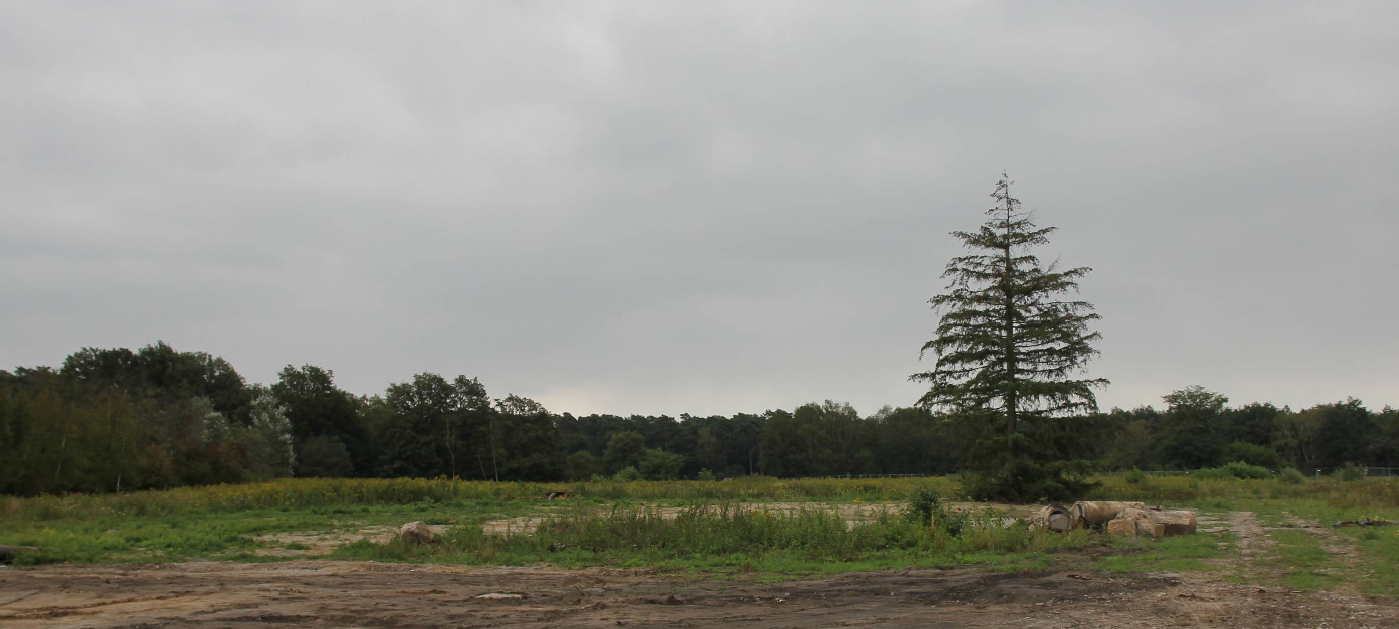 Rodungsarbeiten für Industriepark in Wulfen gestartet