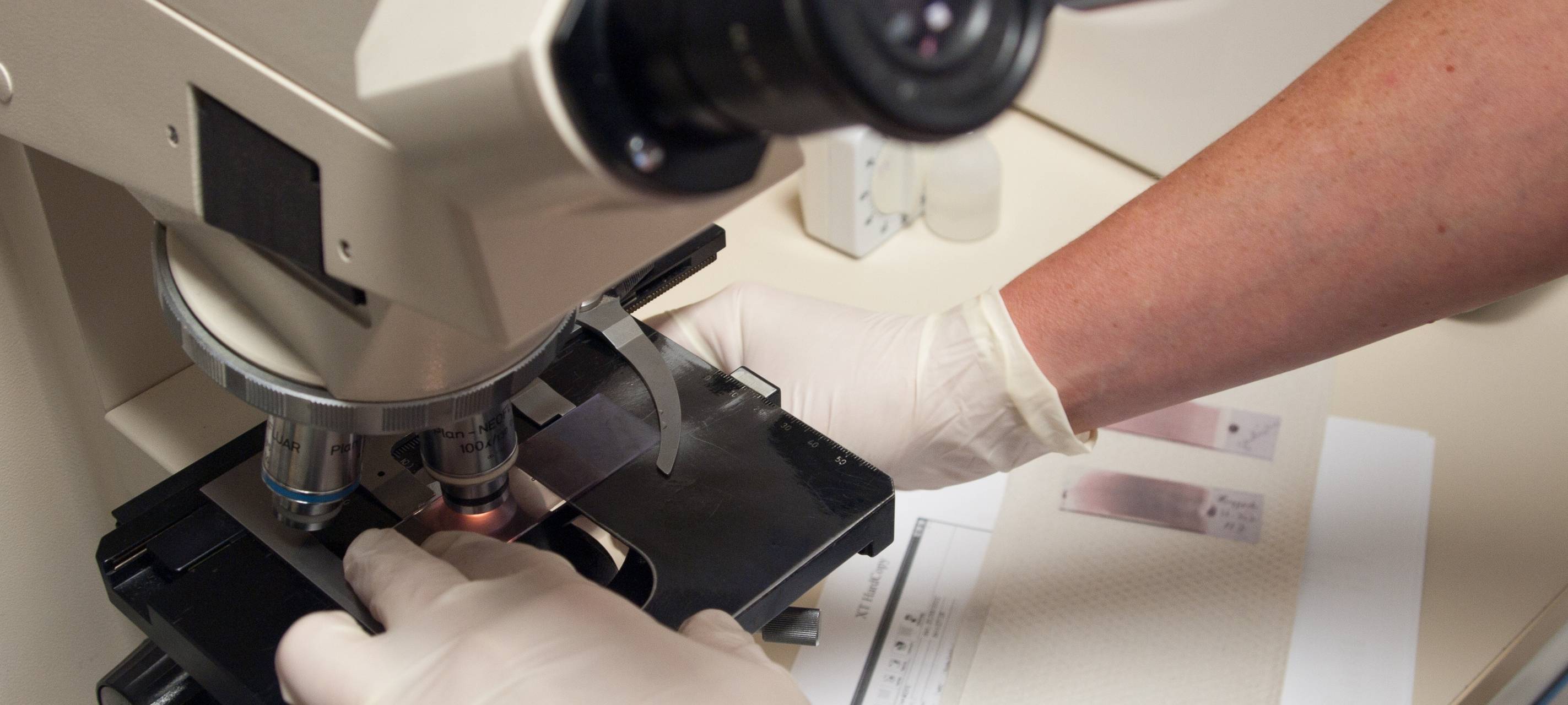 Experten im Vest beobachten Forschungsstopp bei Antibiotika