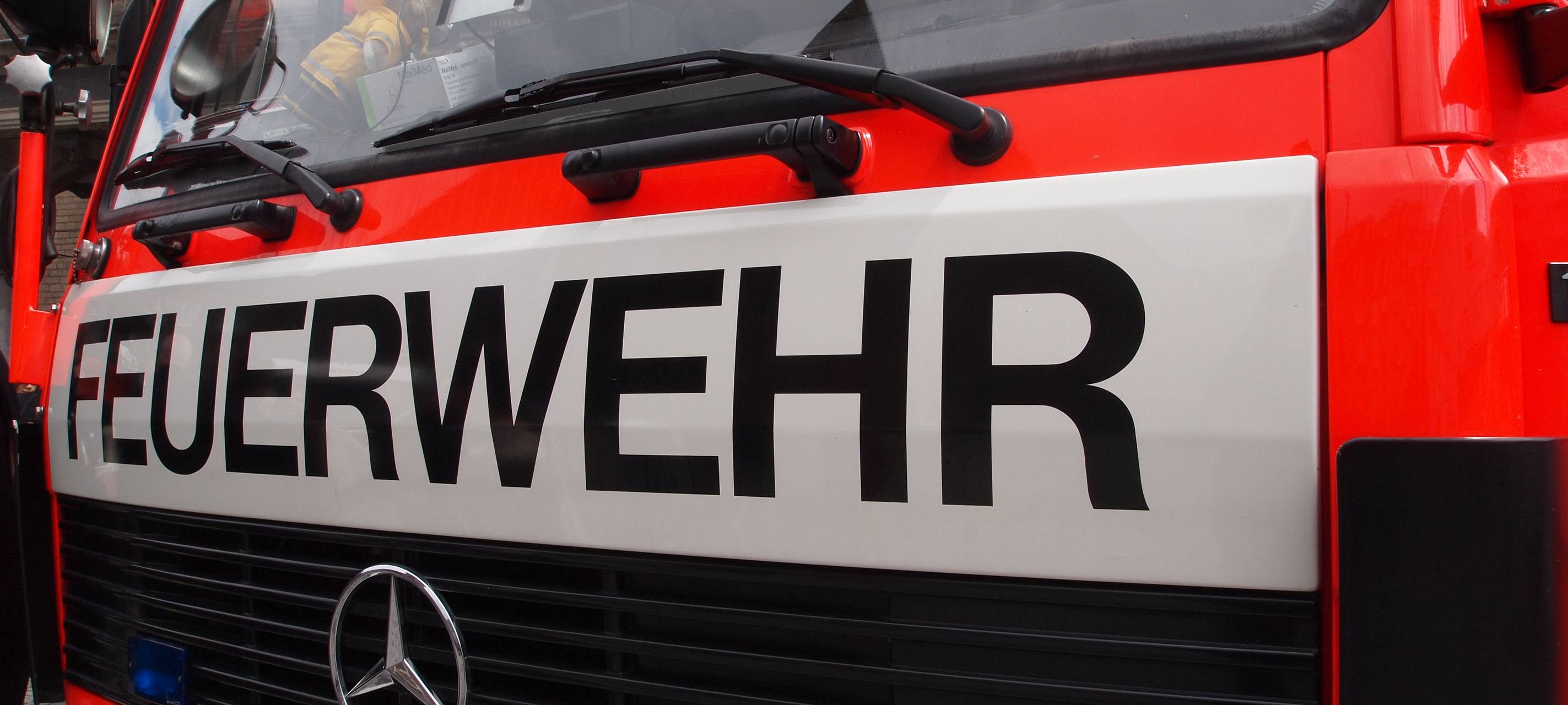 Feuerwehr rettet zwölf Schafe aus Holzbach