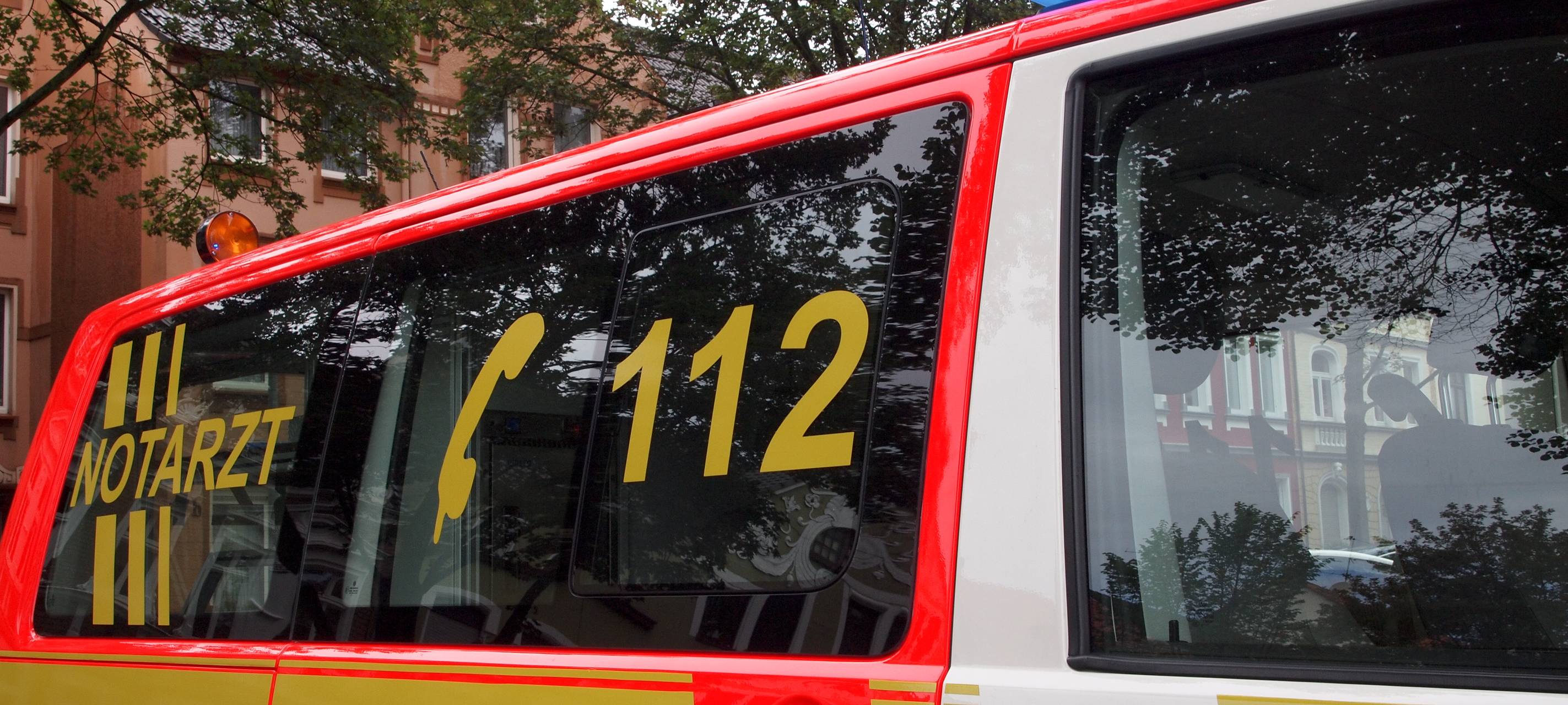 Auto prallt auf der B225 mit Pferd zusammen