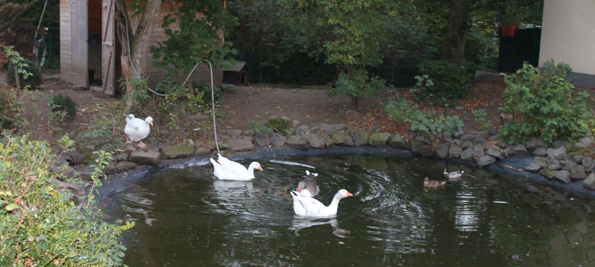 Die Radio Vest Brötchenbringer