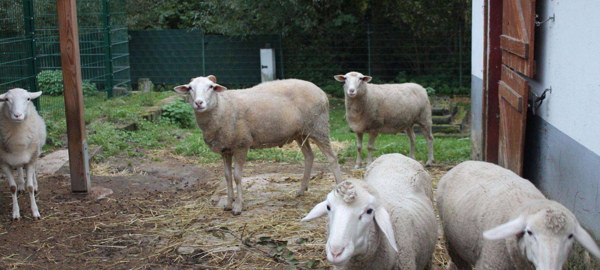 Die Radio Vest Brötchenbringer