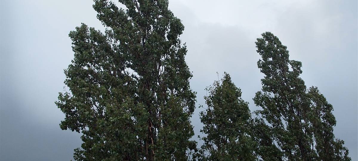 Lohbusch in Datteln gesperrt