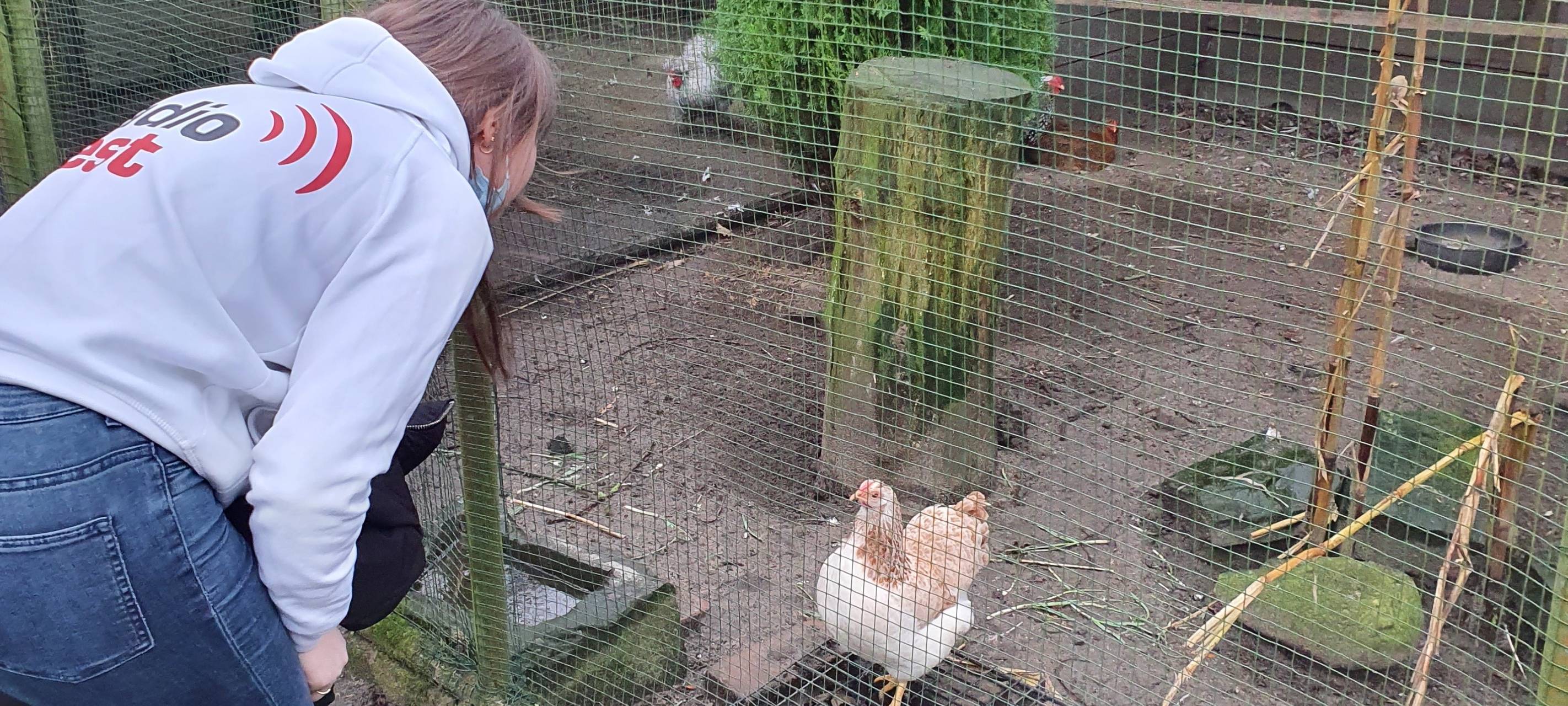 Die Radio Vest Brötchenbringer