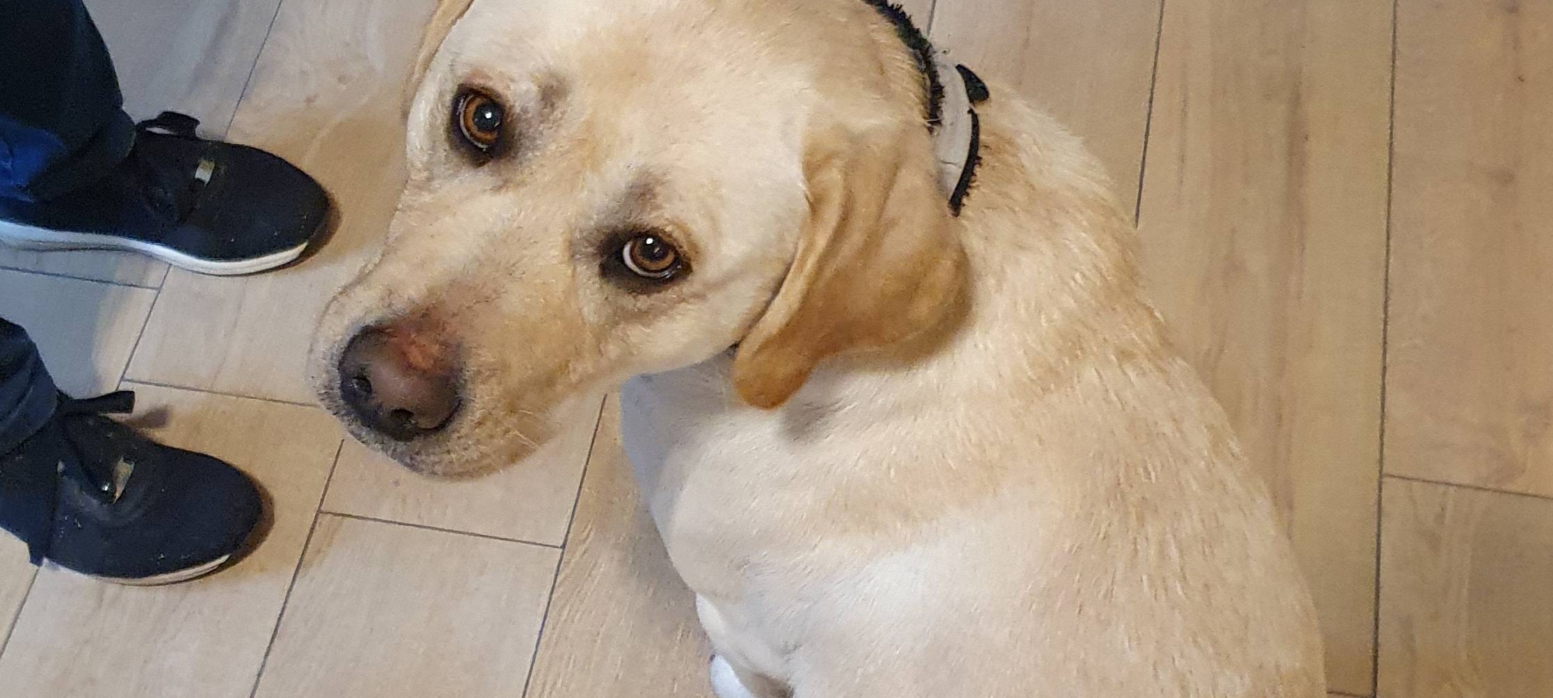 Die Radio Vest Brötchenbringer