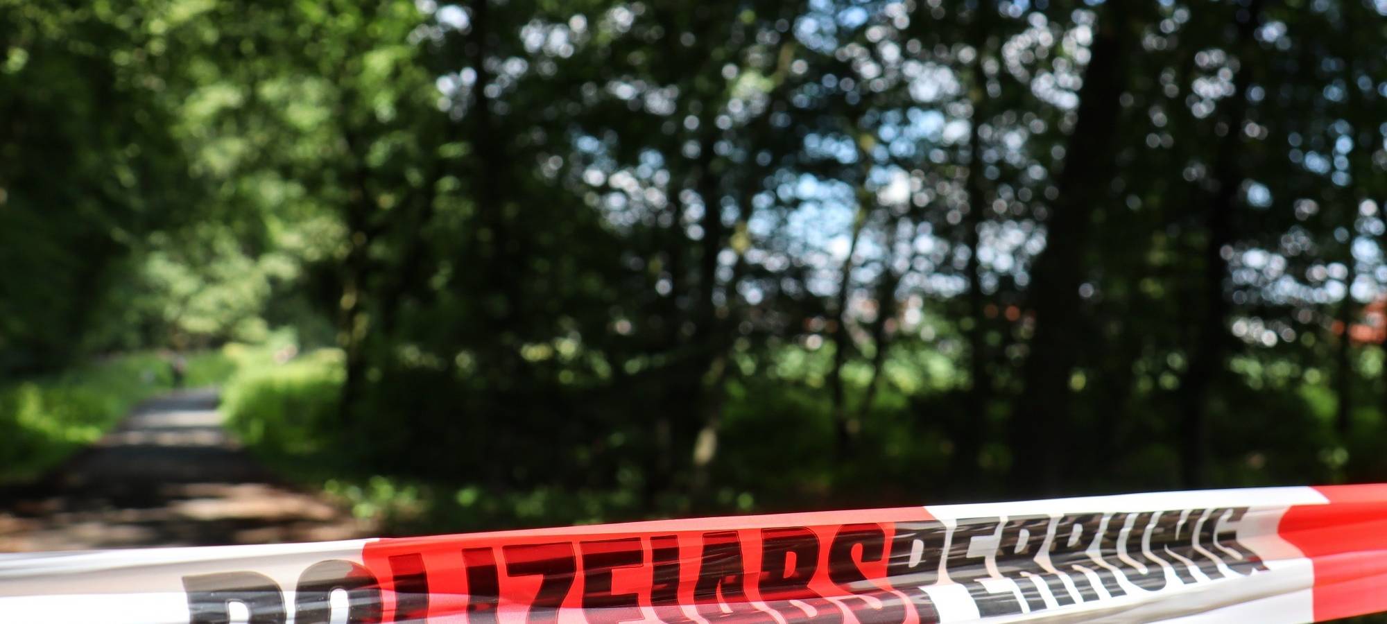 Gelsenkirchen/Herten: Cannabis-Plantage im Wald entdeckt