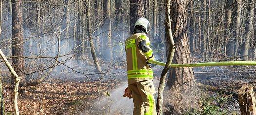 Hitzewelle sorgt für erhöhte Waldbranggefahr