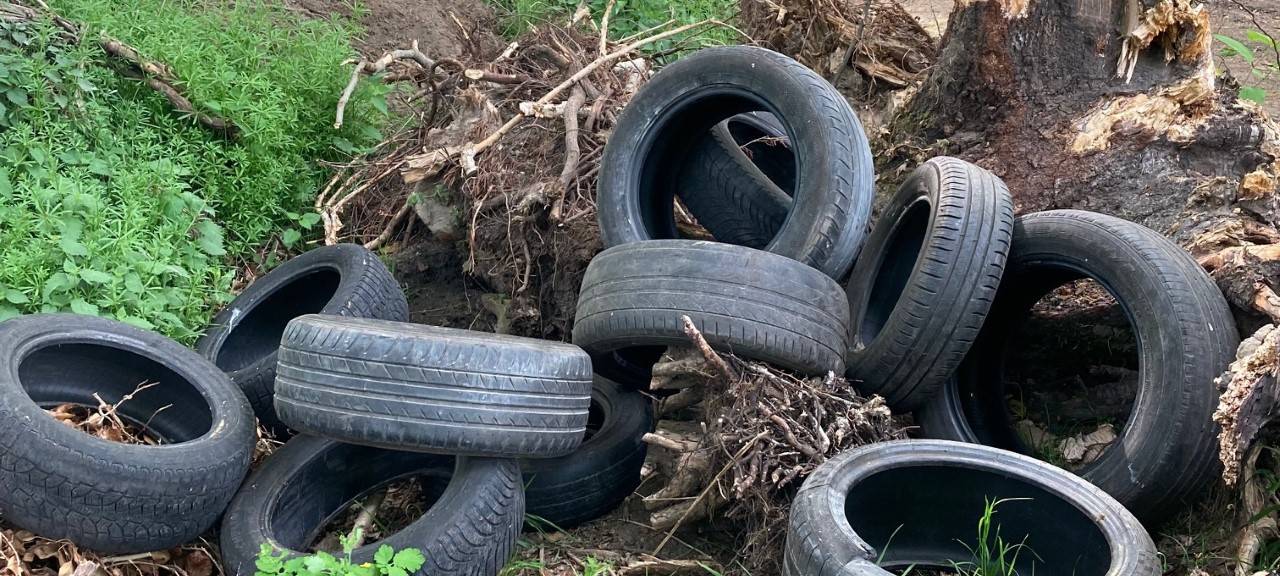 Zahl der illegalen Müllkippen deutlich gestiegen