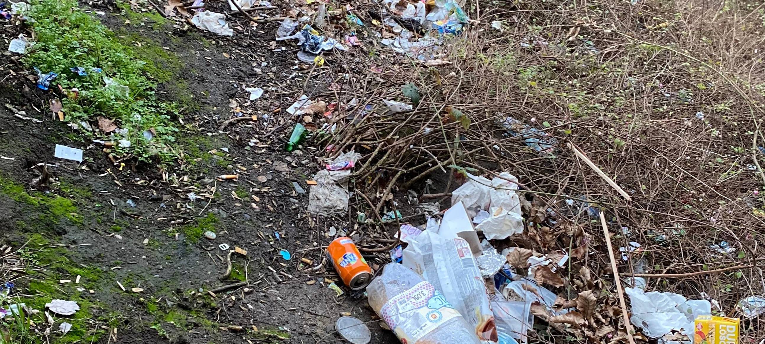 Vermüllte Kreisstädte - "Müllfrei Dorsten" hält dagegen