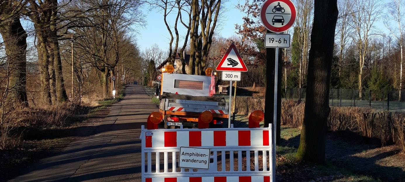 Krötenwanderung sorgt für Straßensperrungen in Dorsten