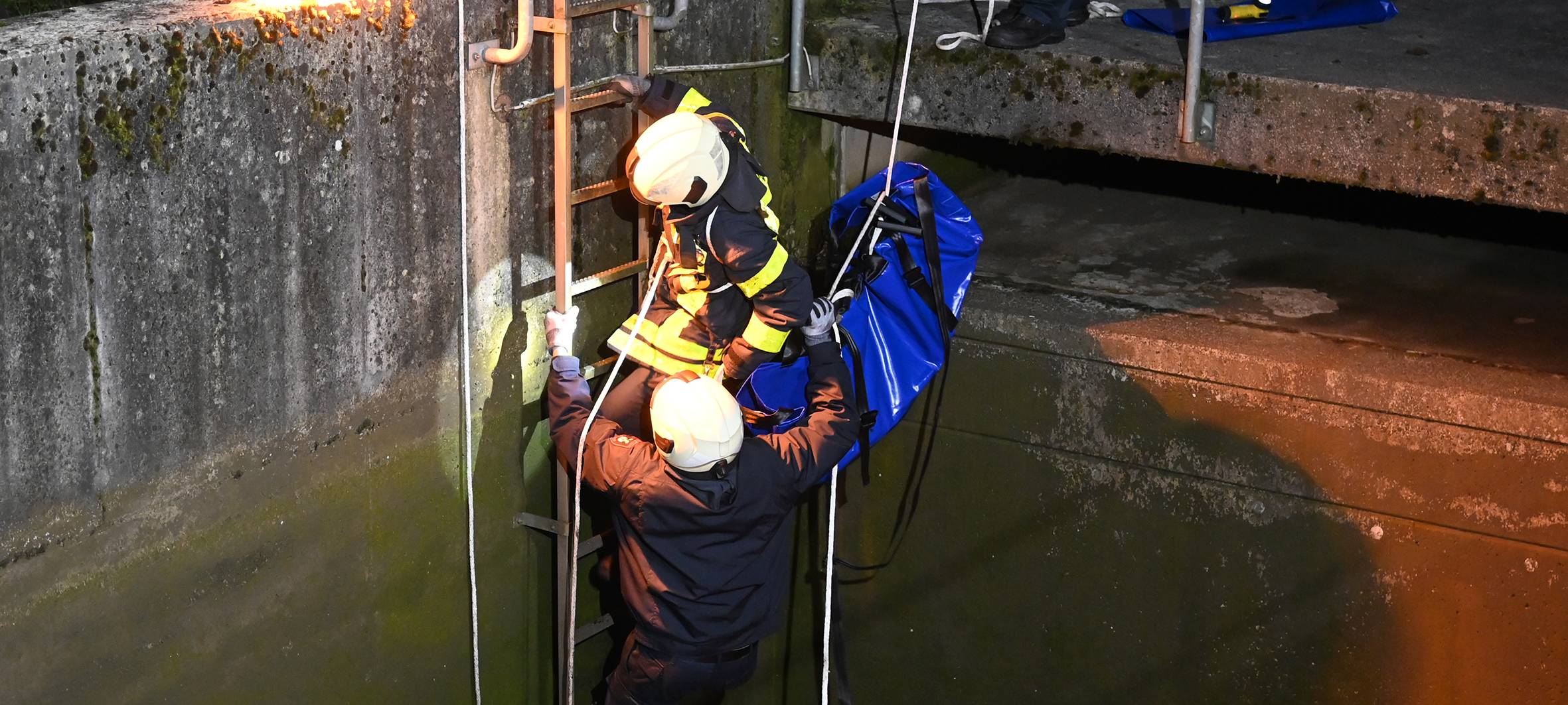 Feuerwehr Dorsten rettet kleines Lamm