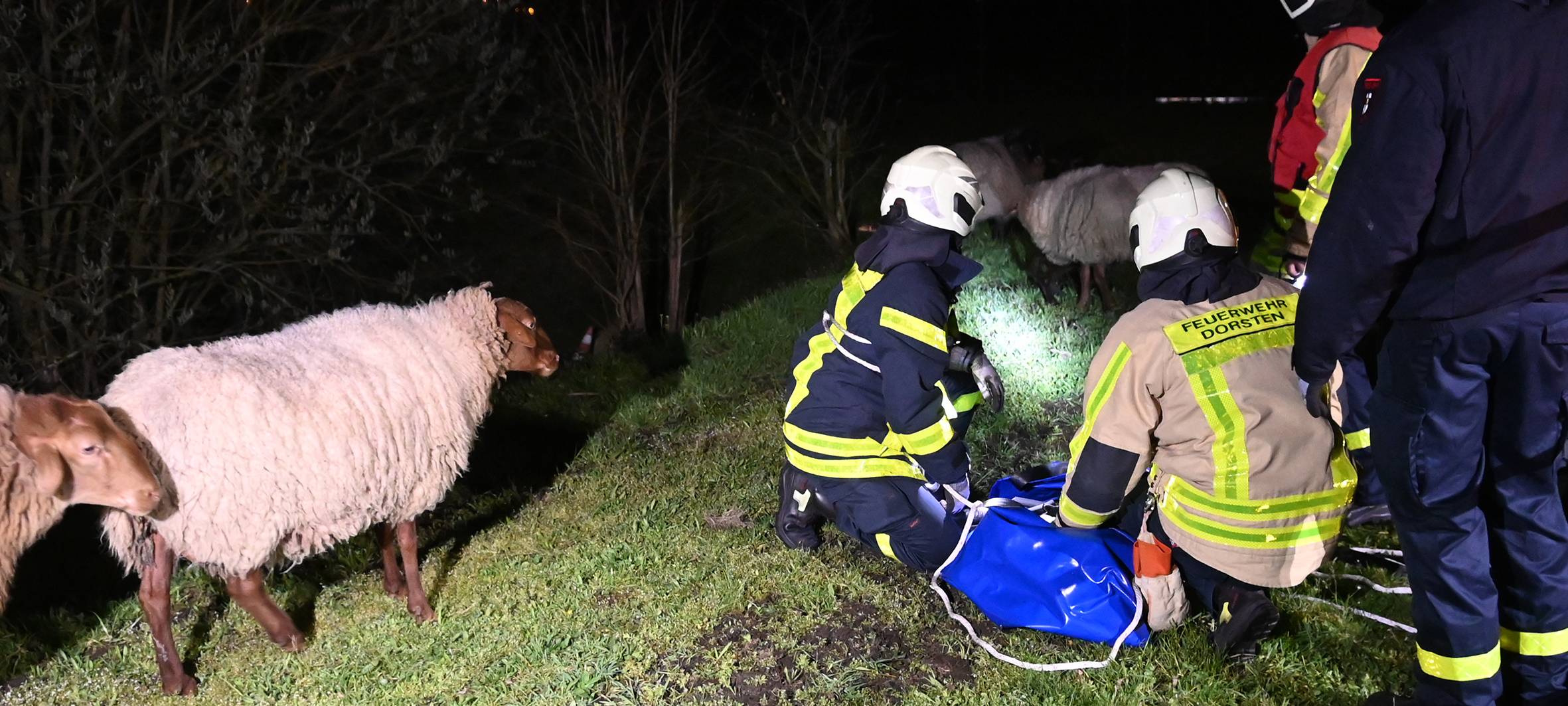 Feuerwehr Dorsten rettet kleines Lamm