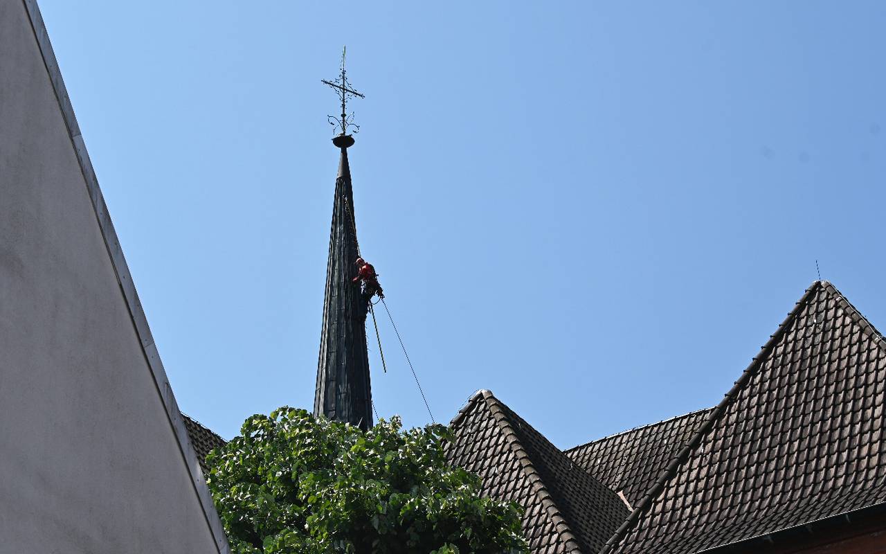 Ein Höhenretter des Kreises Recklinghausen kletterte den Kirchturm hinauf und befreite den Falken.