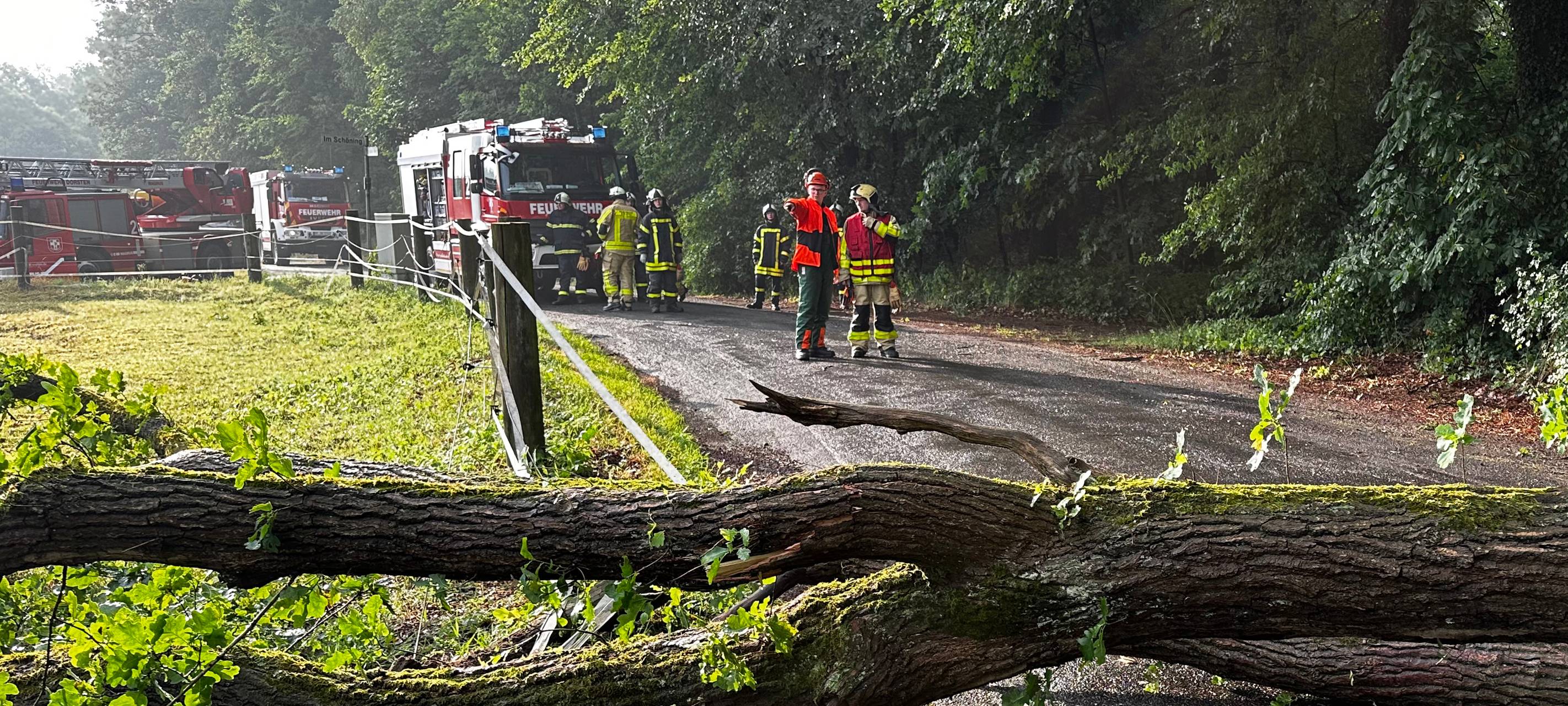 Unwetter im Kreis Recklinghausen: 300 Einsätze für die Feuerwehr