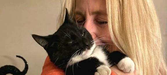 Neue Regeln für freilaufende Katzen im Kreis Recklinghausen