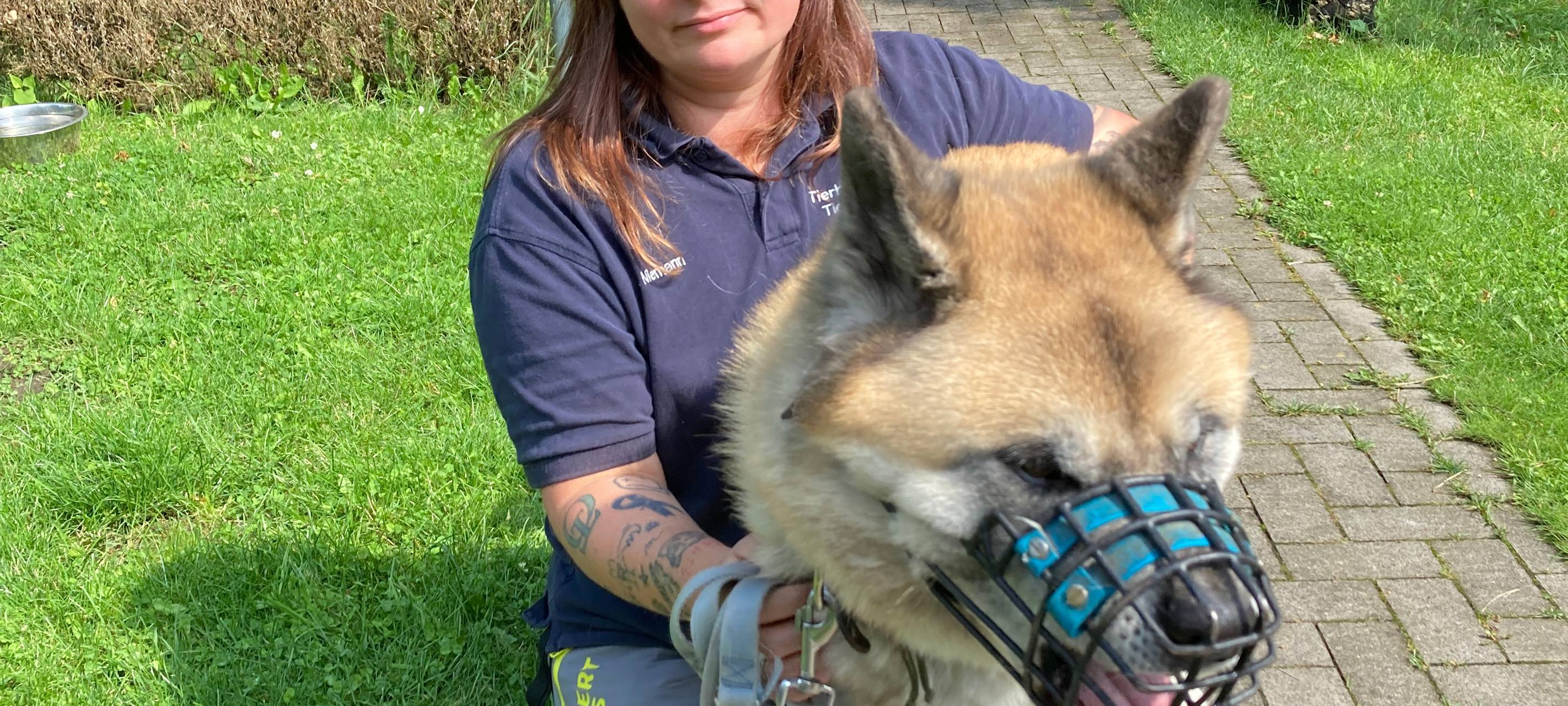 Tierheim Dorsten klagt über massive Probleme