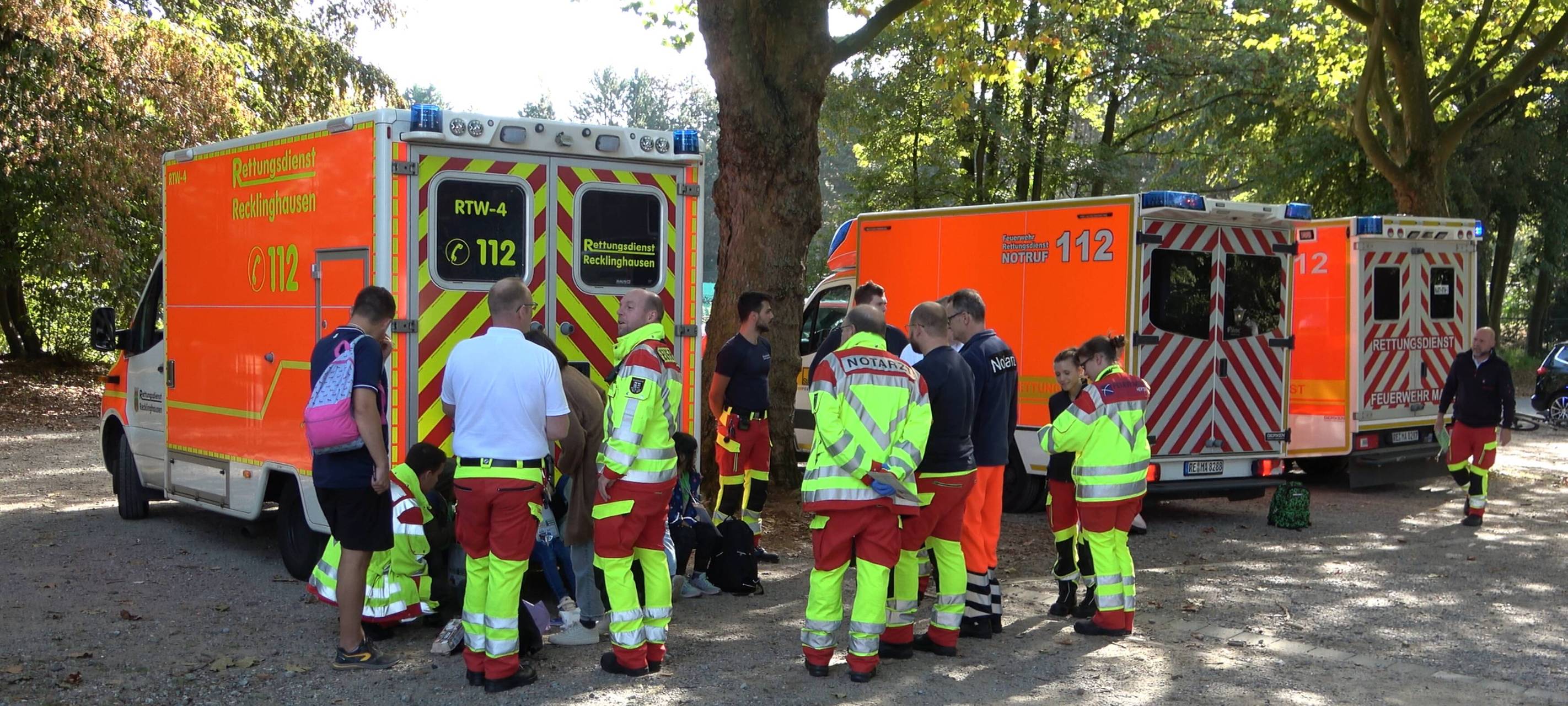Hornissen greifen Schüler in Oer-Erkenschwick an: 19 Verletzte