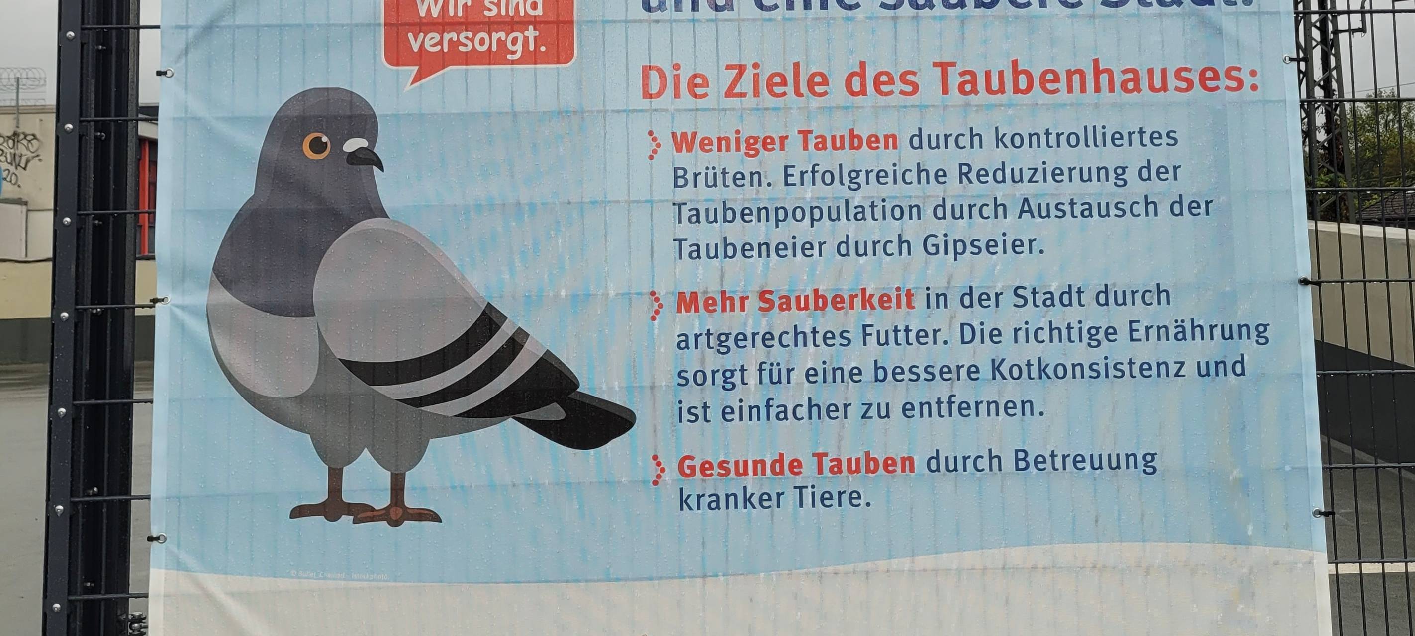 Projekt in Recklinghausen: Weniger Tauben in der Innenstadt