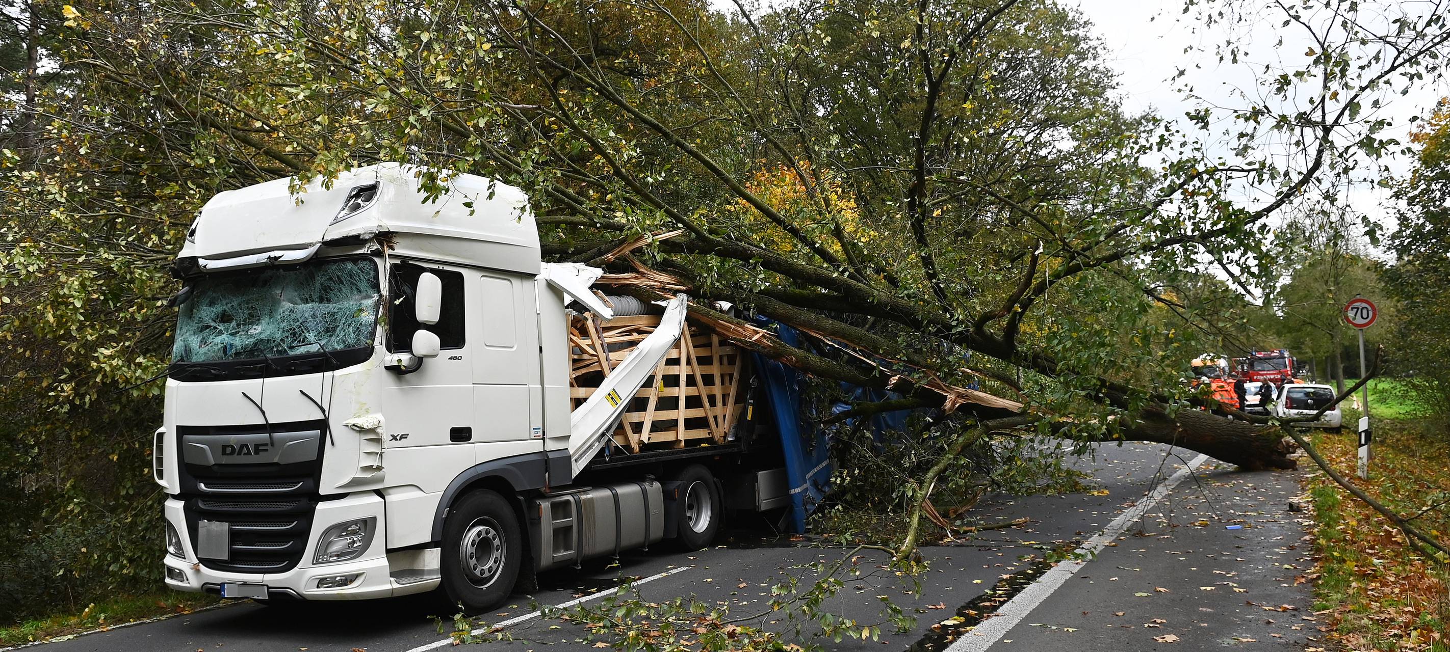 Sturmtief: Baum kracht auf LKW zwischen Haltern und Dorsten