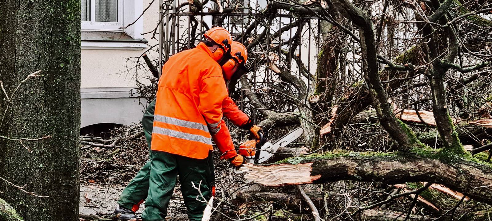 Sturmtief: Rund 100 Einsätze der Feuerwehr im Kreis Recklinghausen