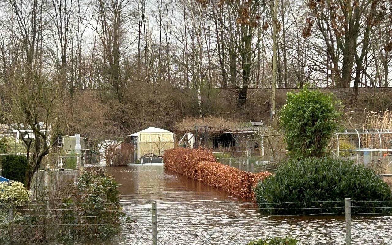 Die Kleingartenanlage "Im Lippegrund" in Dorsten steht fast komplett unter Wasser.