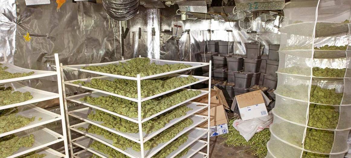 Polizei findet Cannabis-Plantage in Castrop-Rauxel