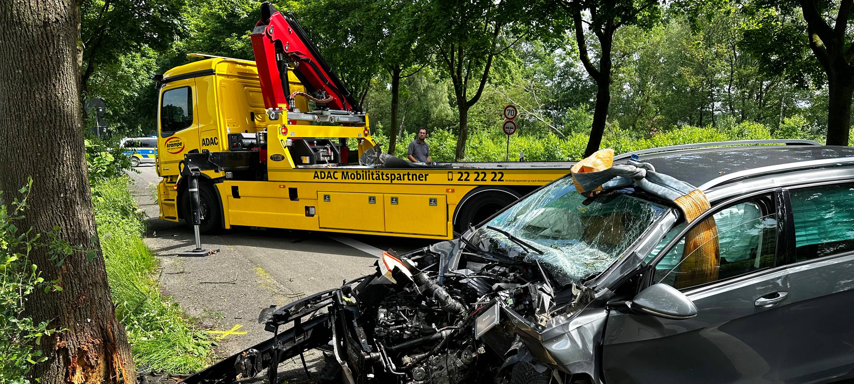 Auto fährt in Dorsten vor Baum