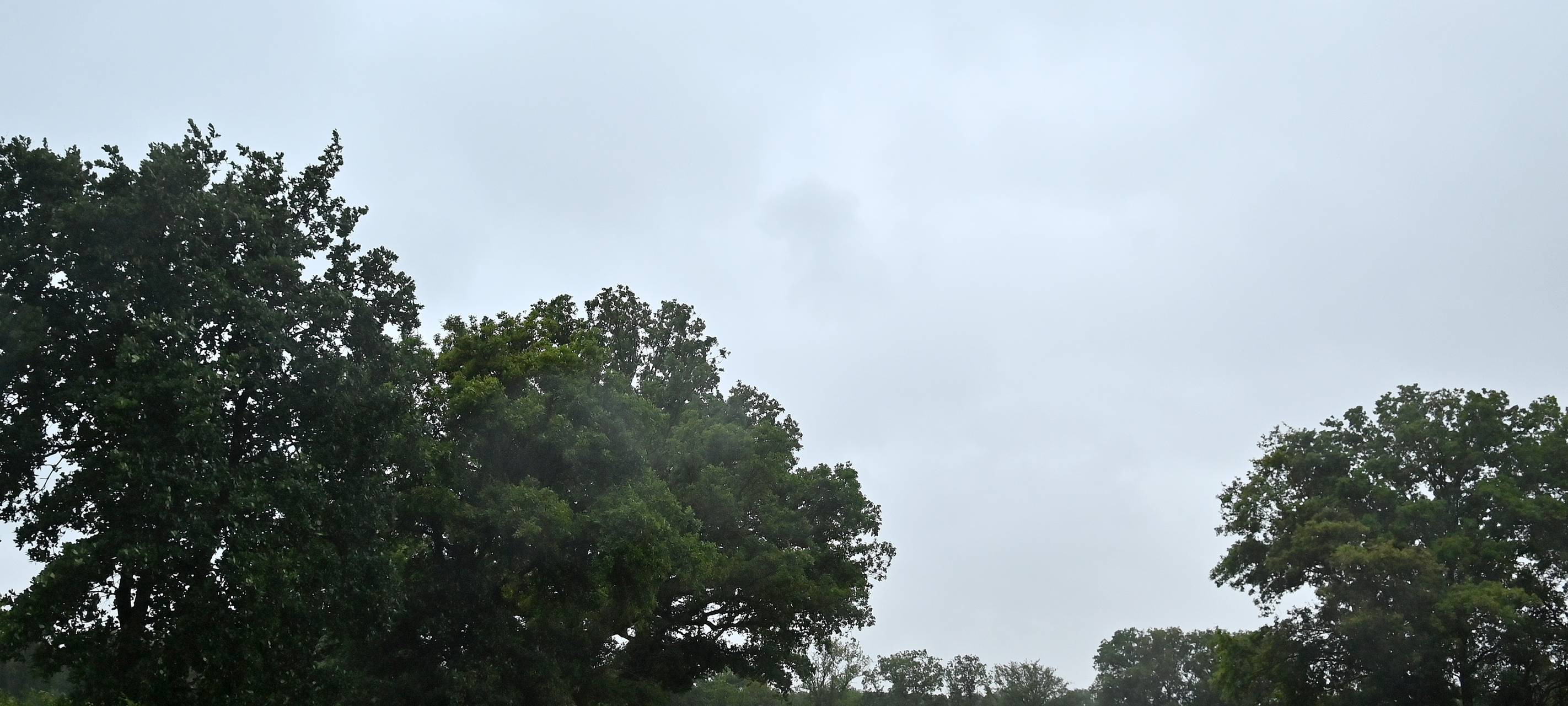 Großer Polizeieinsatz zwischen Dorsten und Schermbeck