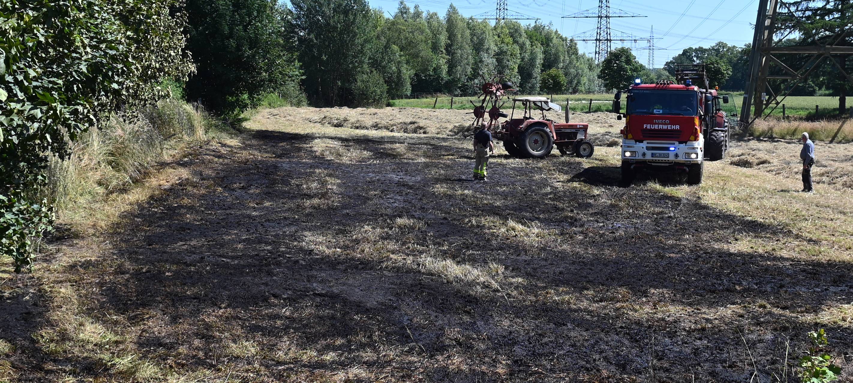 Trockenes Wetter: Feuerwehr Dorsten muss Felder und Wiesen löschen