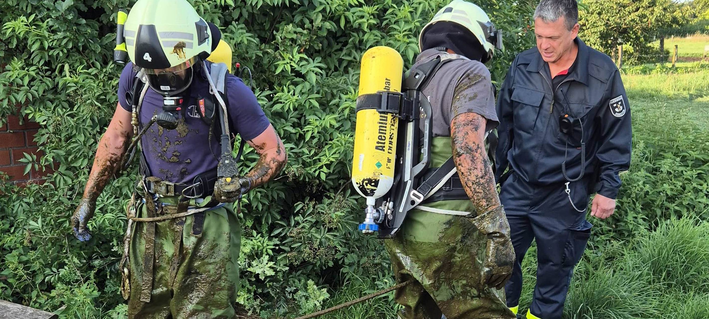 Feuerwehr rettet Kälbchen in Dorsten