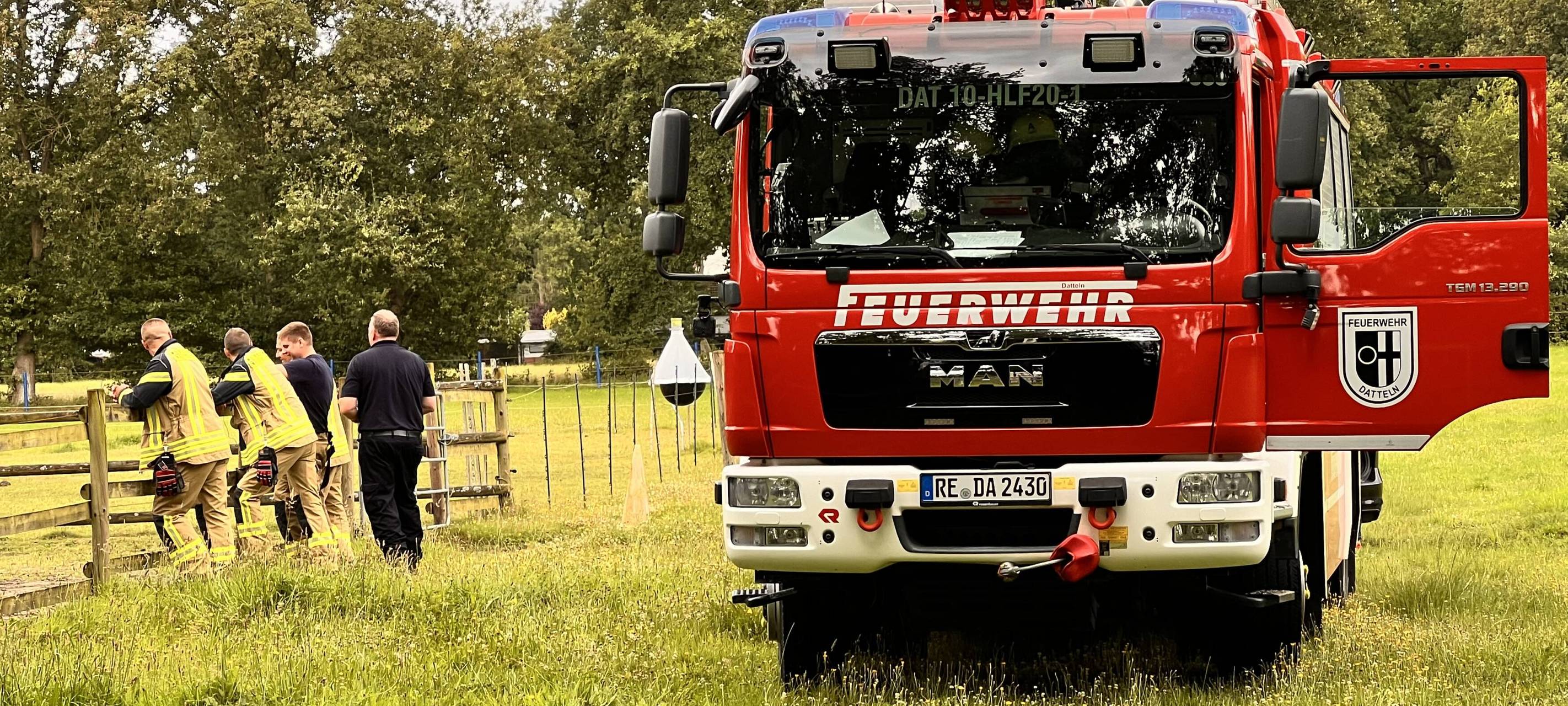 Pferd verunglückt in Datteln und muss eingeschläfert werden