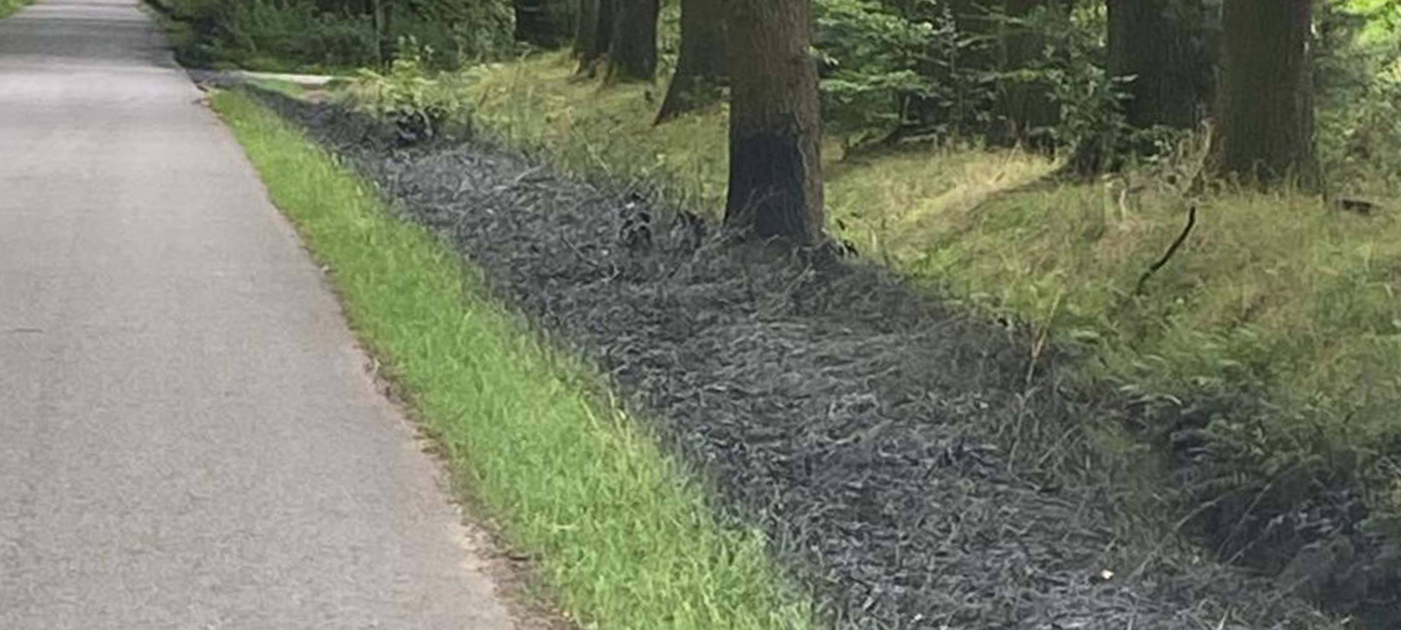 Mysteriöse Flüssigkeit in Haltern: Polizei informiert