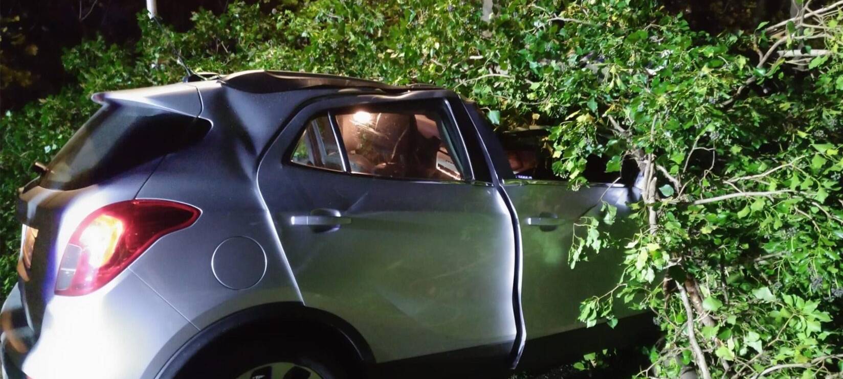 Baum kracht auf Auto in Waltrop