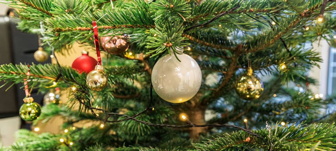 Ein geschmückter Weihnachtsbaum steht in einem offenen Raum. Der Baum wird in Nahaufnahme gezeigt