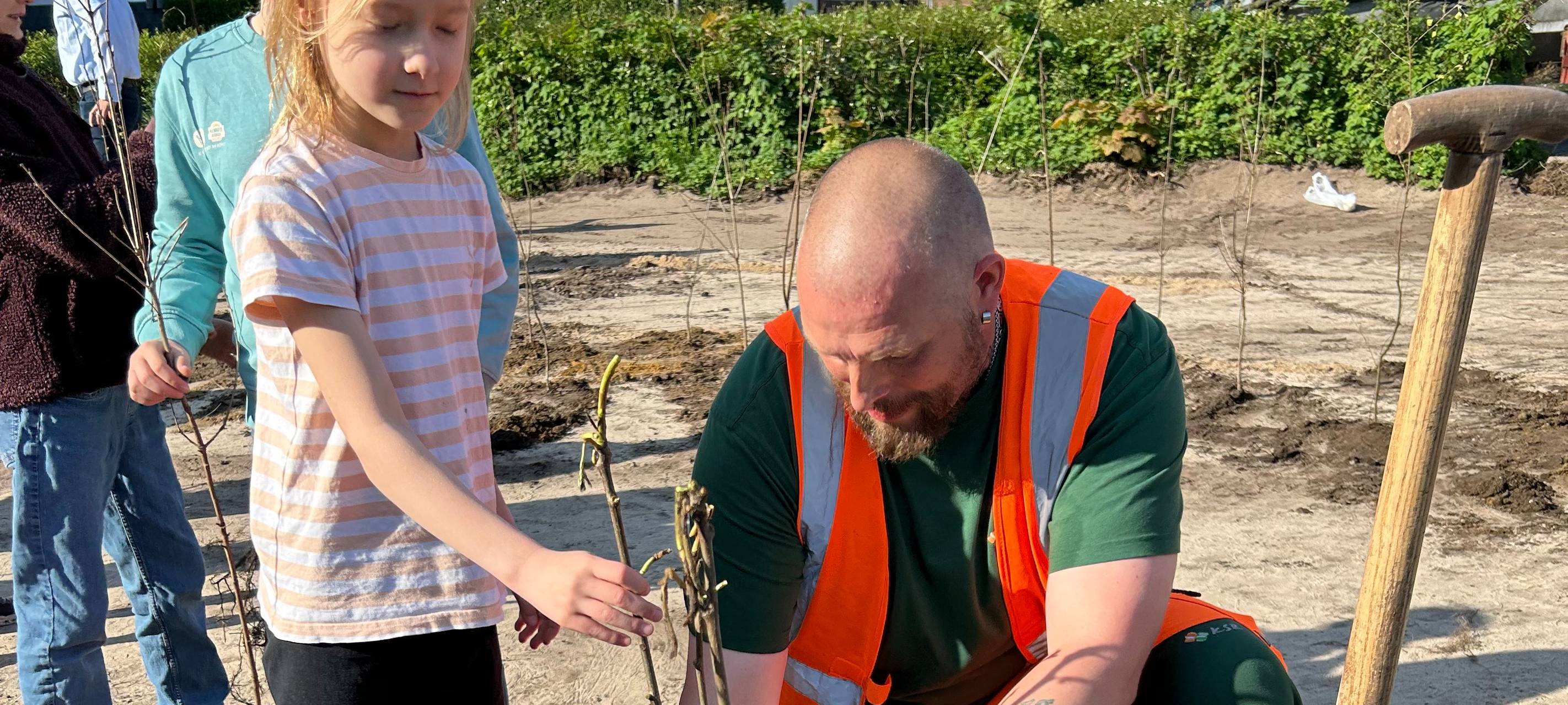 Tiny Forest: Neues Mini-Wäldchen in Recklinghausen