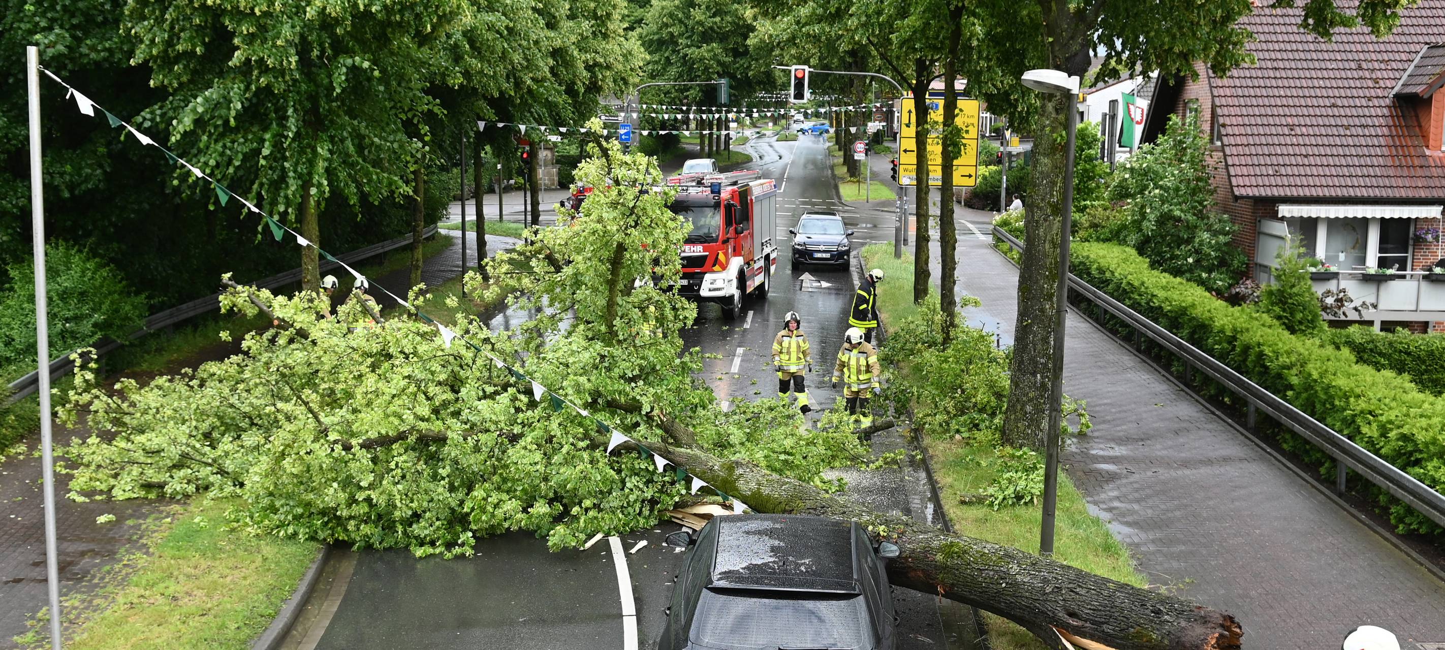 Dorsten: Baum kracht auf Auto mit Familie