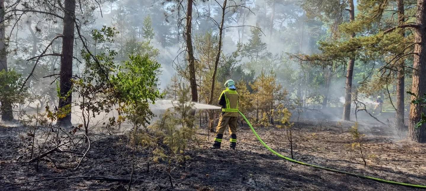 Waldbrand in Haltern am Silbersee