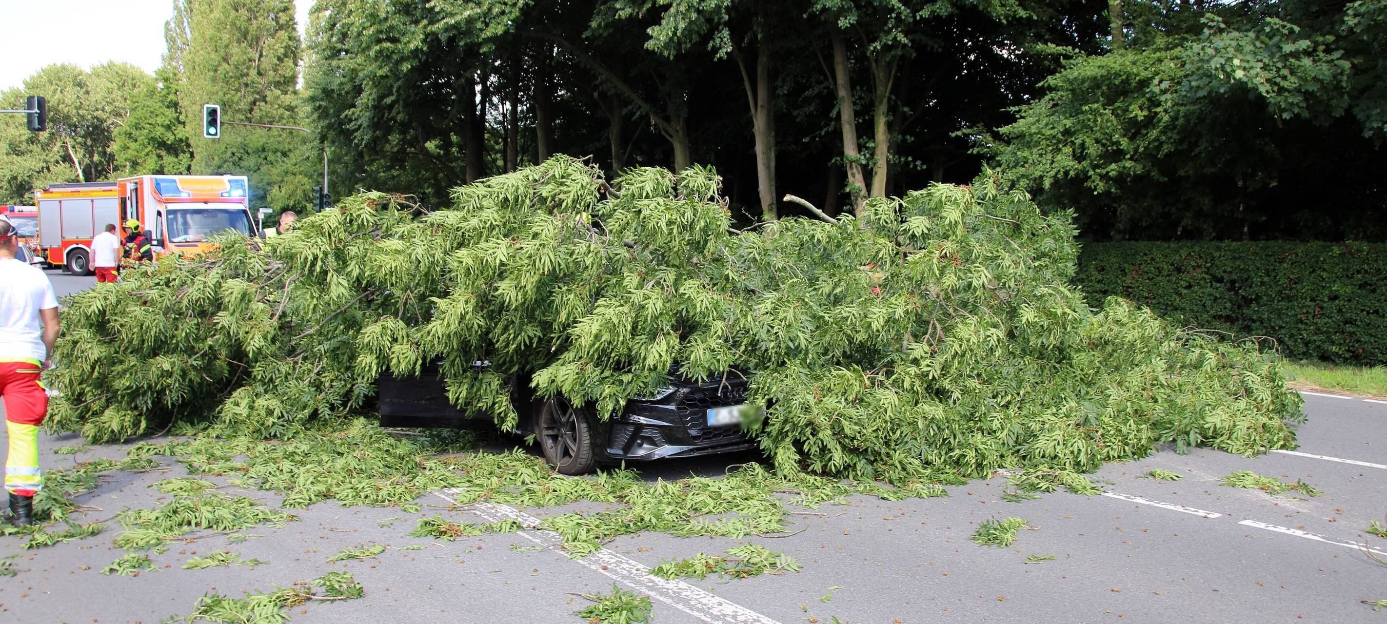 Das Auto wurde von dem umgestürzten Baum in Marl-Polsum völlig bedeckt.