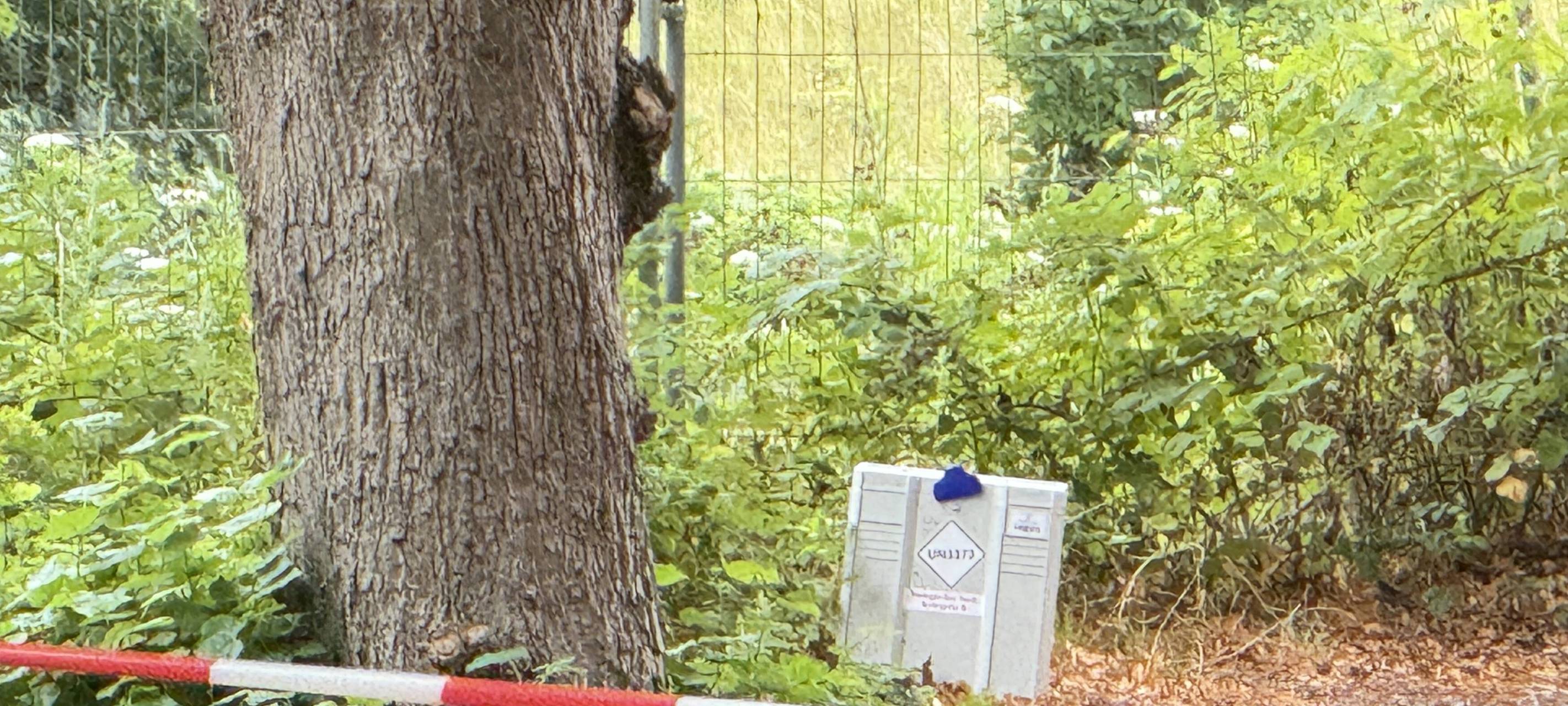 Datteln: Box am Straßenrand sorgt für Feuerwehreinsatz