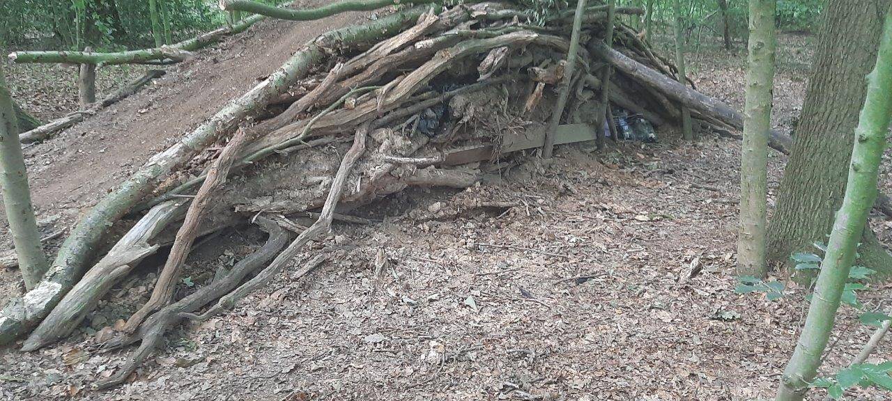 Aus Ästen und Baumstämmen bauten die Verantwortlichen Rampen und Hügel für die illegale BMX-Strecke im Waltroper "Striethorst".