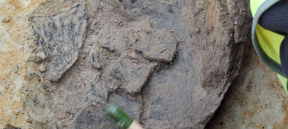 Ganzes Haus und Knochen: Historische Funde bei Grabungen in Dorsten