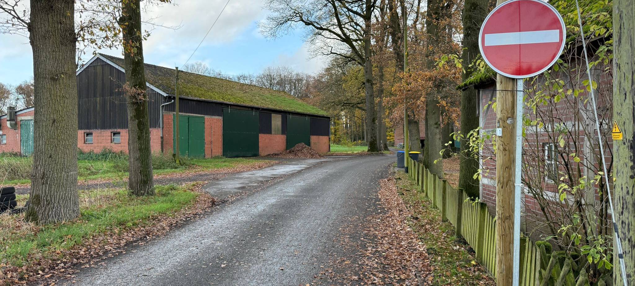 Geflügelpest-Verdacht in Dorsten: Tiere werden getötet