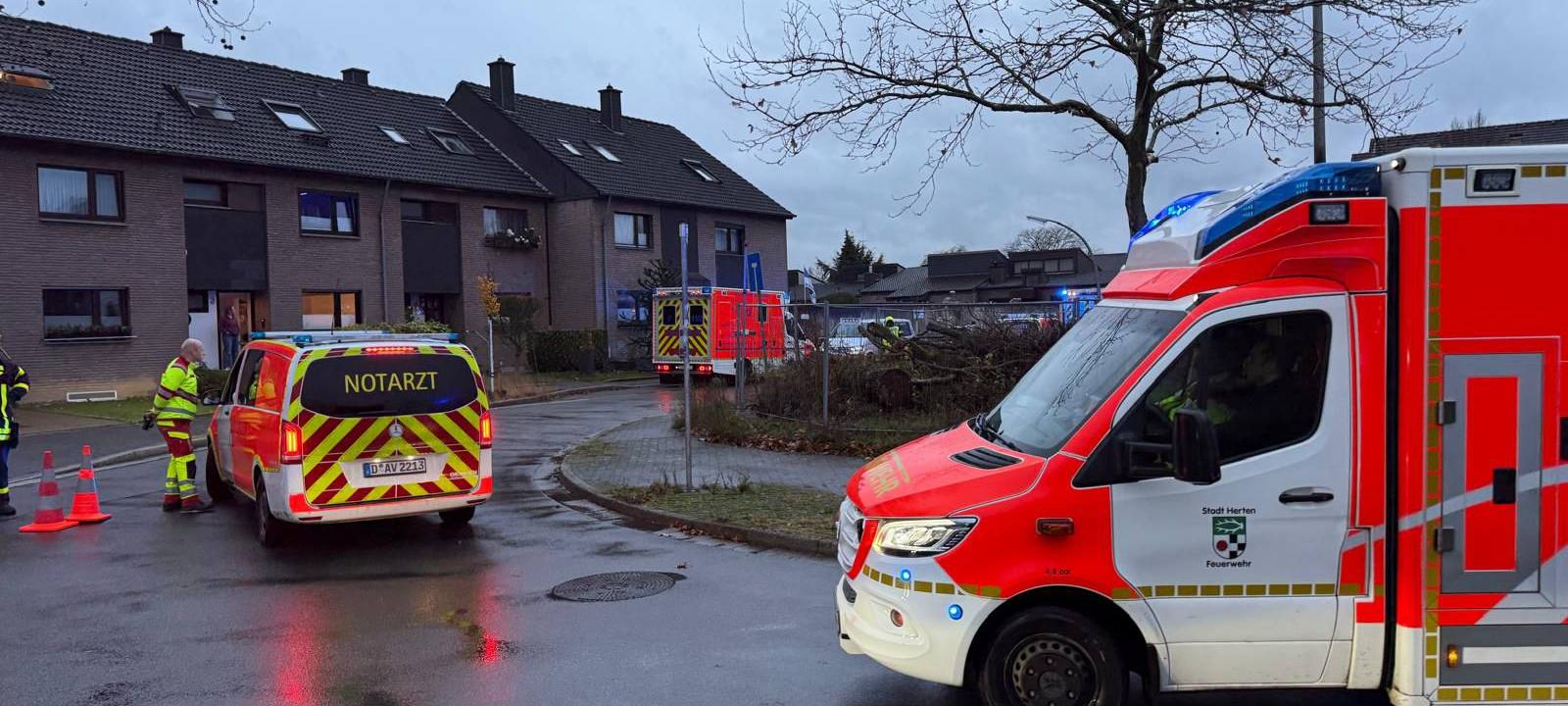 Ein Rettungswagen und ein Notarztwagen stehen auf einer Straße.
