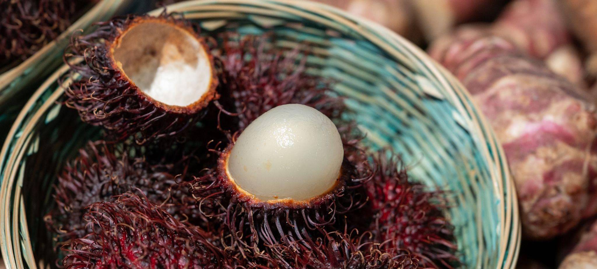 Rambutan (Nephelium lappaceum)