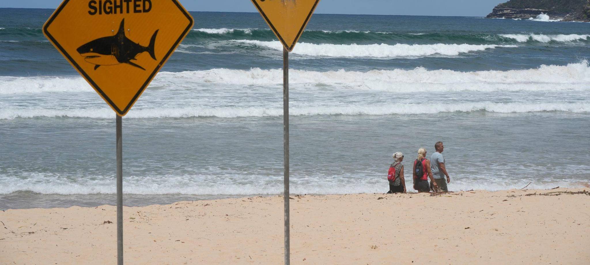 Haiangriffe in Australien